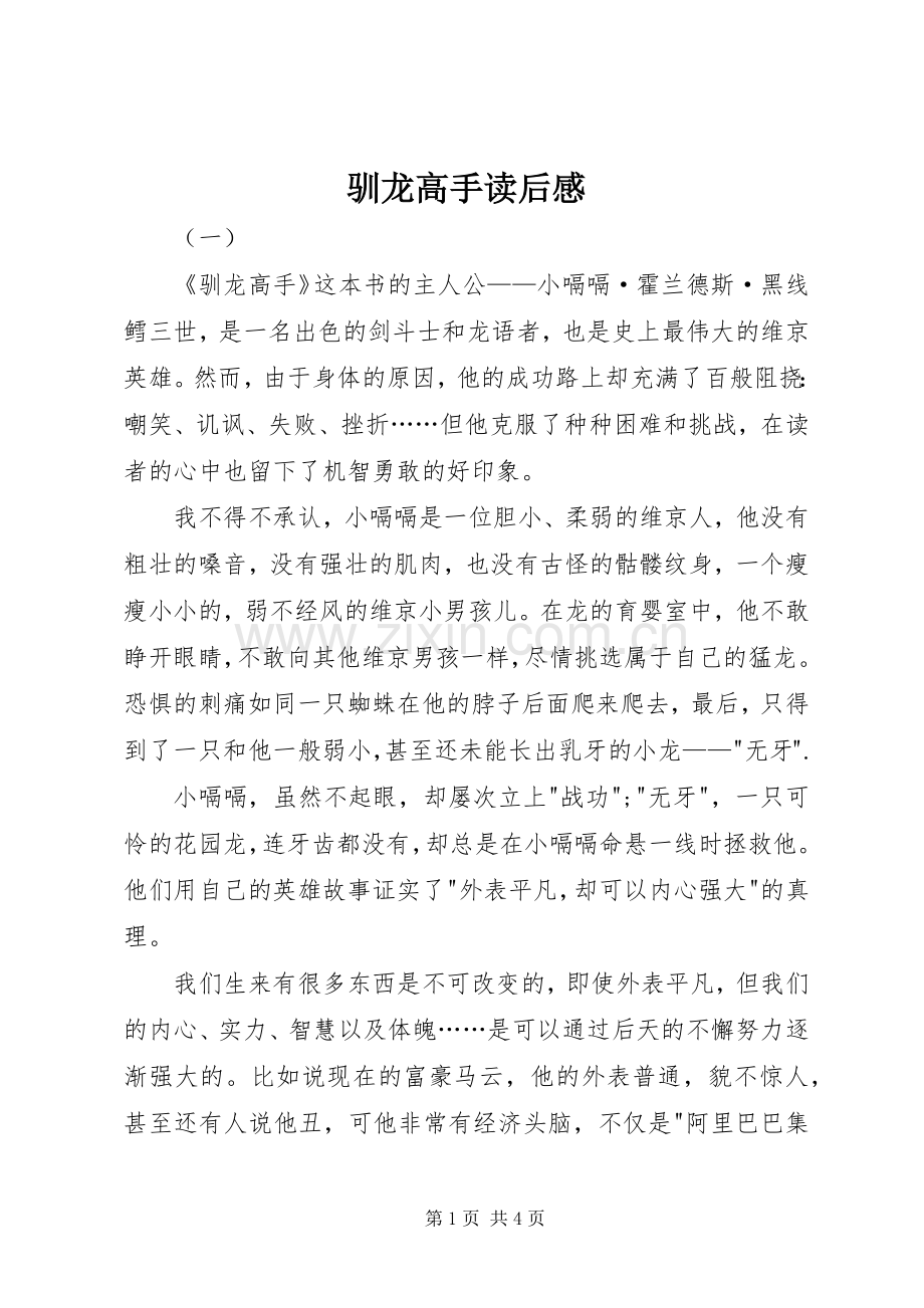 驯龙高手读后感.docx_第1页