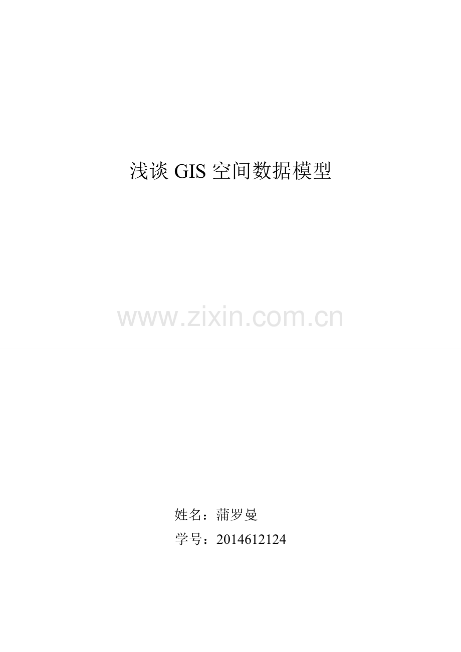 浅谈GIS空间数据模型.doc_第1页