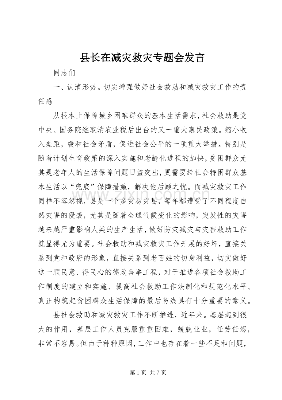 县长在减灾救灾专题会发言.docx_第1页