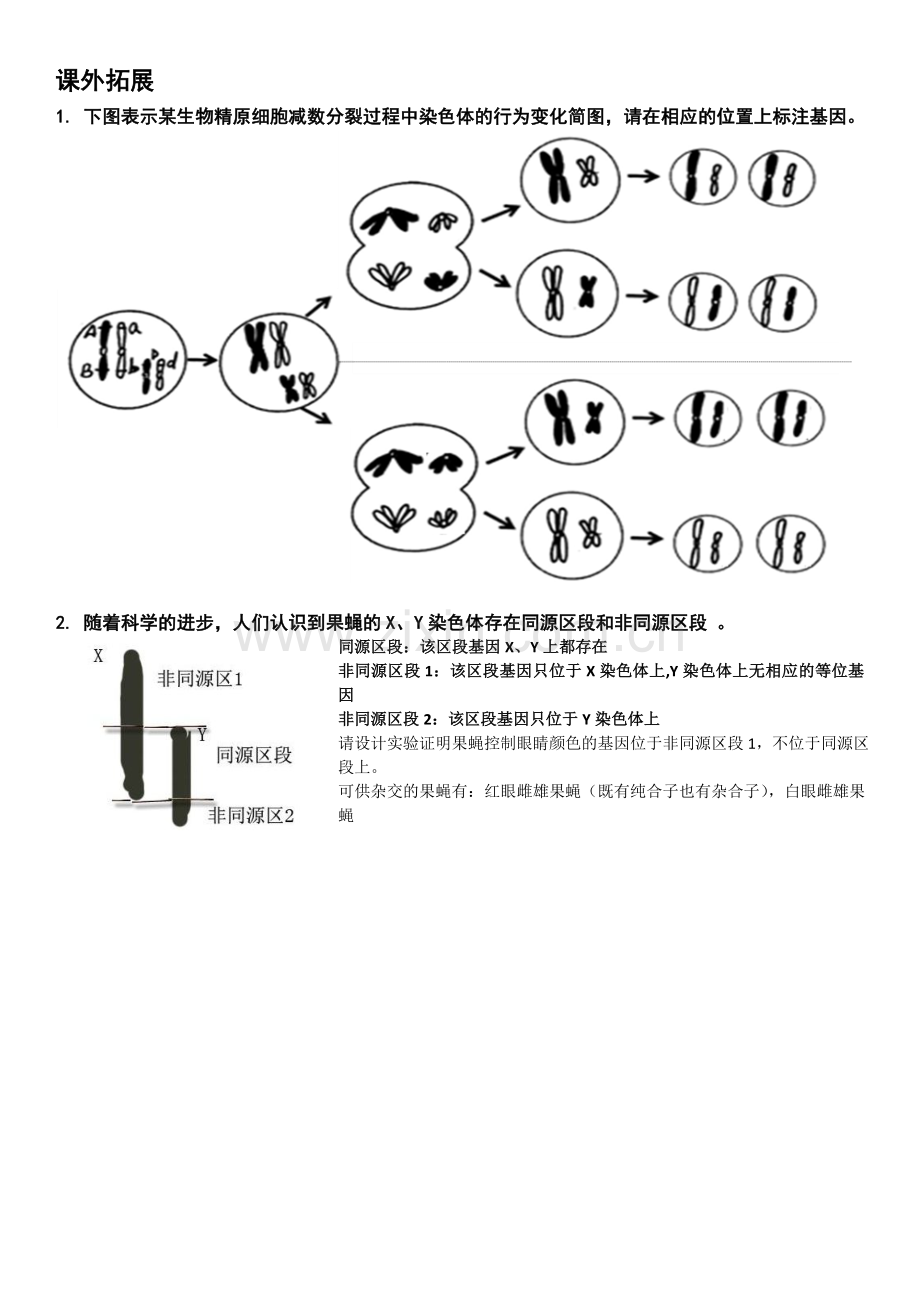 第四节伴性遗传.doc_第2页