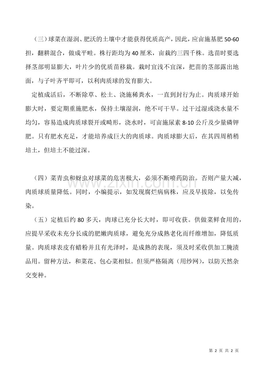 球菜种植栽培技术.docx_第2页