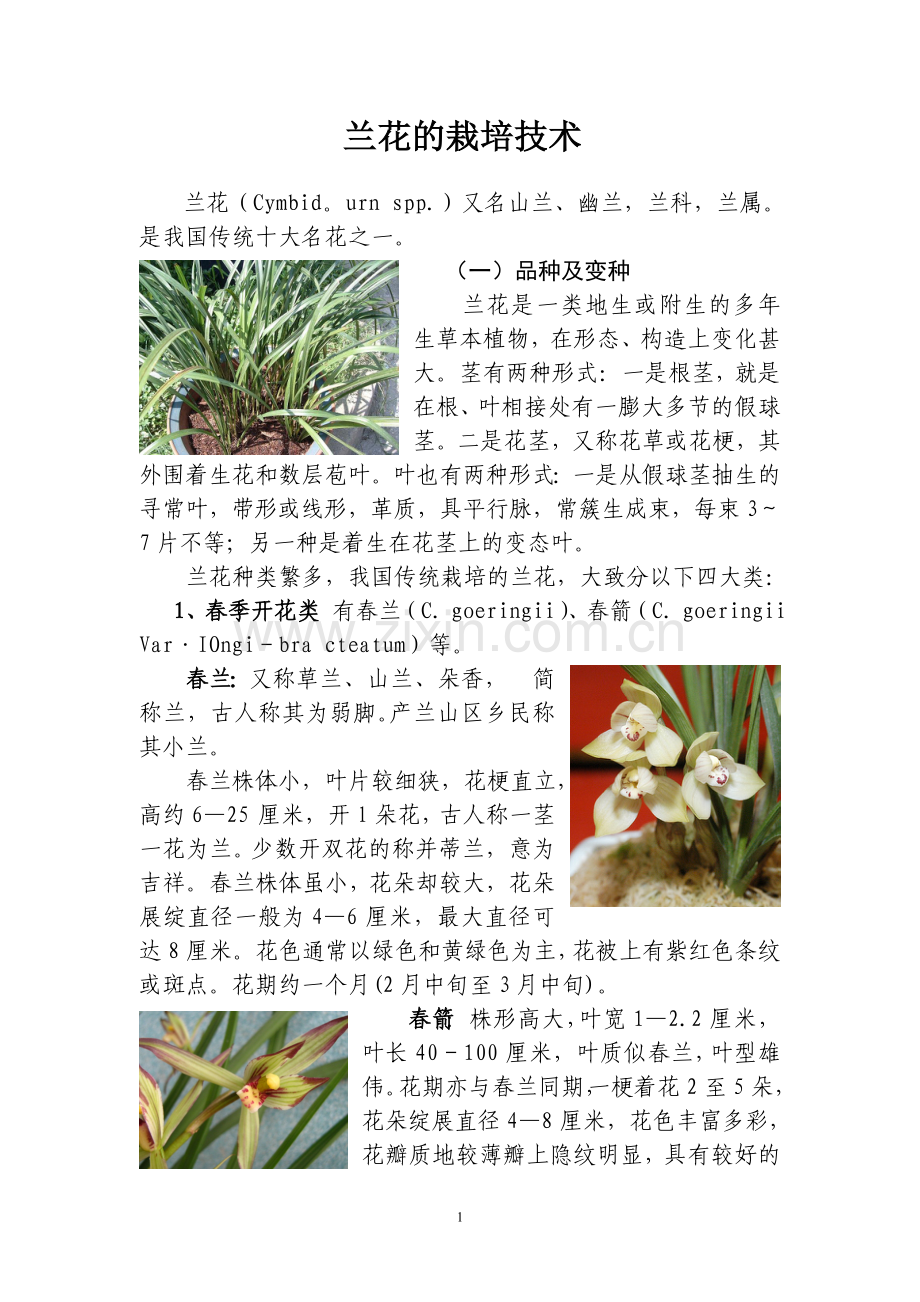 兰花的栽培技术.doc_第1页