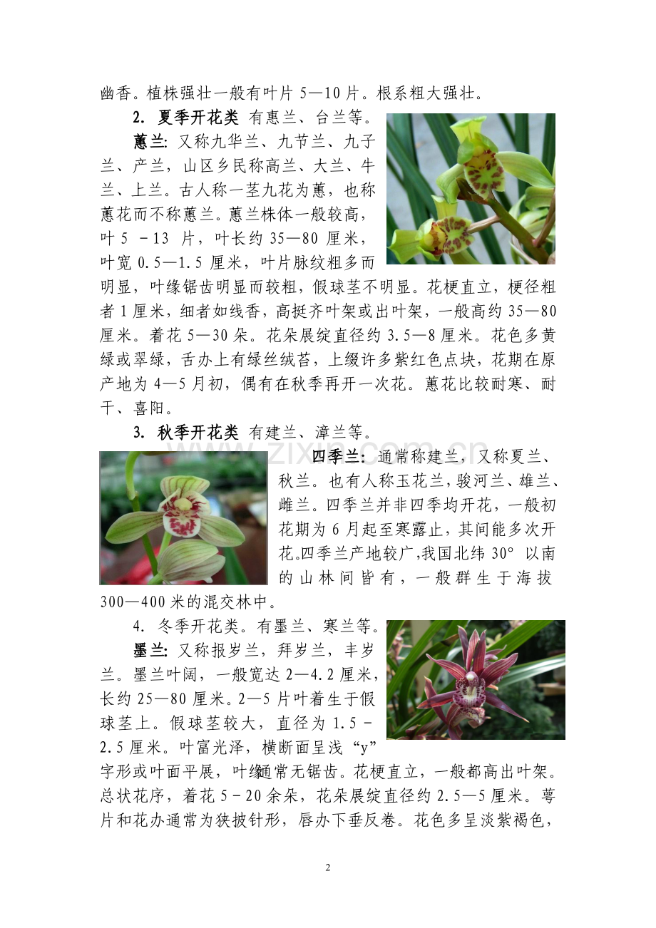 兰花的栽培技术.doc_第2页