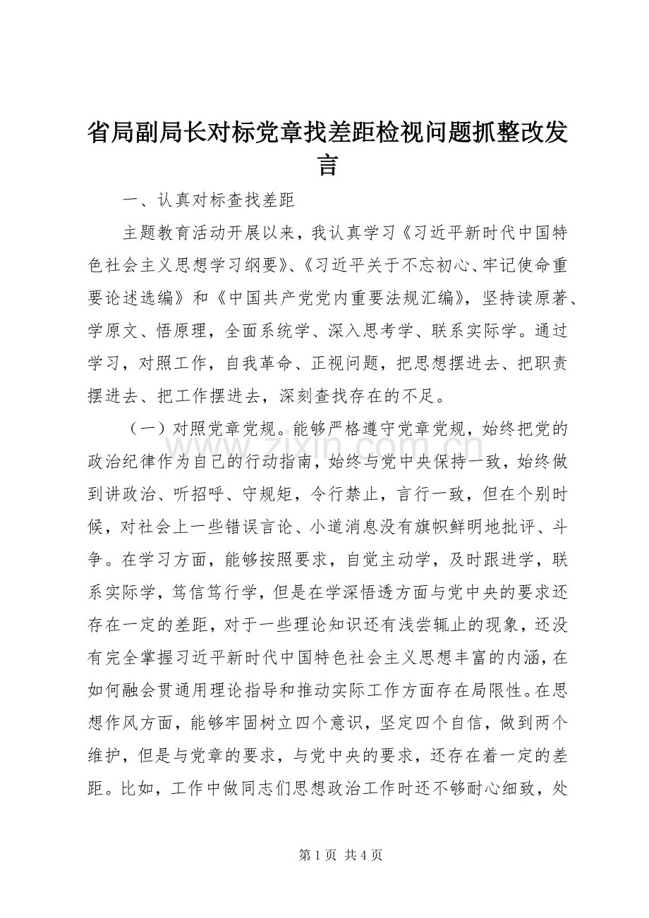 省局副局长对标党章找差距检视问题抓整改发言.docx_第1页