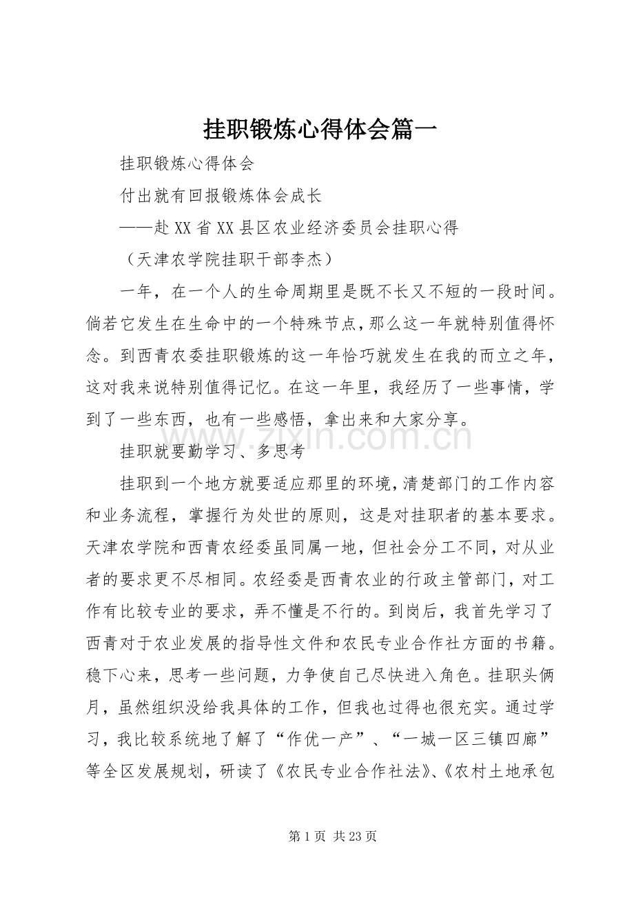 挂职锻炼心得体会篇一.docx_第1页