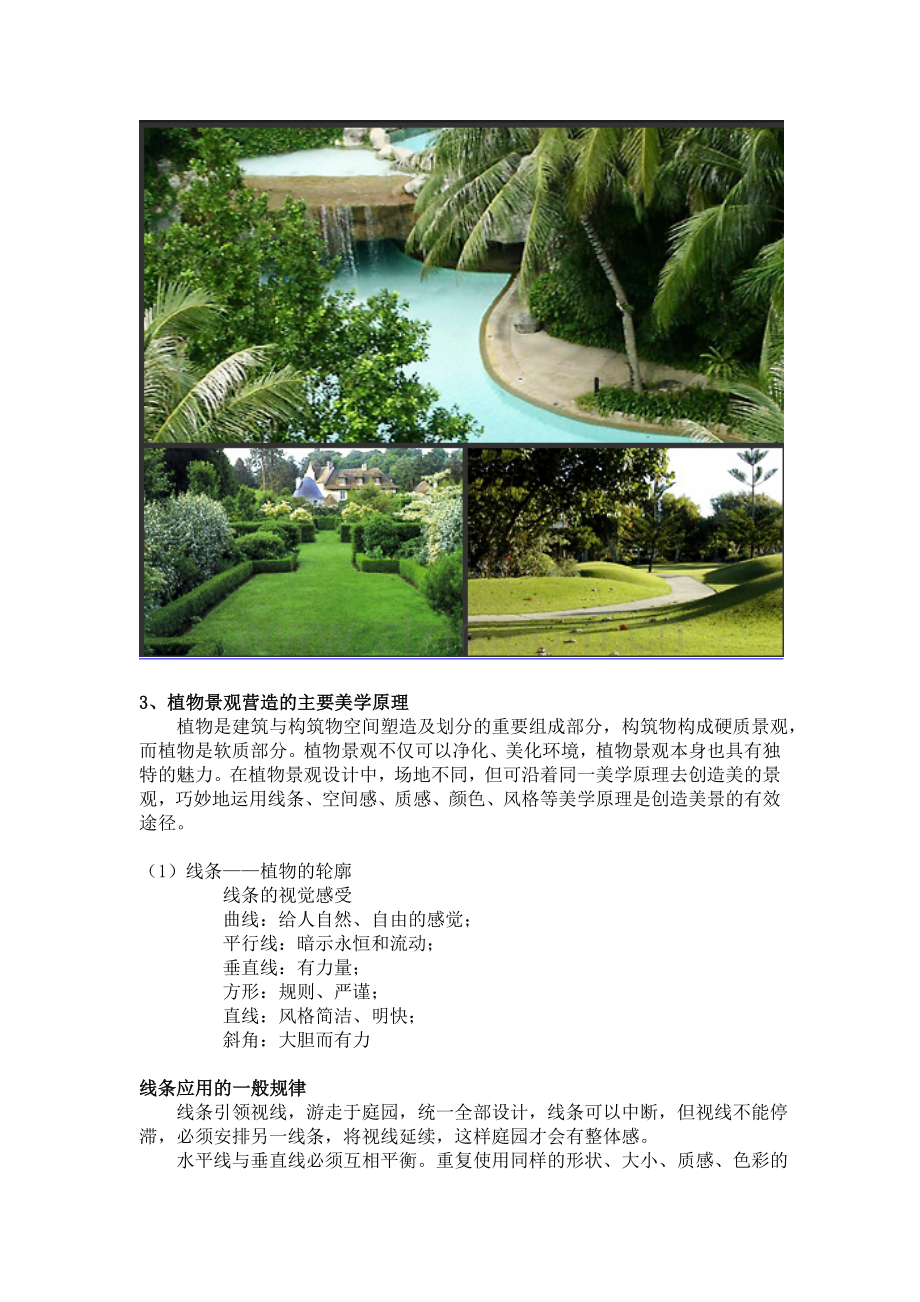 植物景观的价值运用.doc_第2页