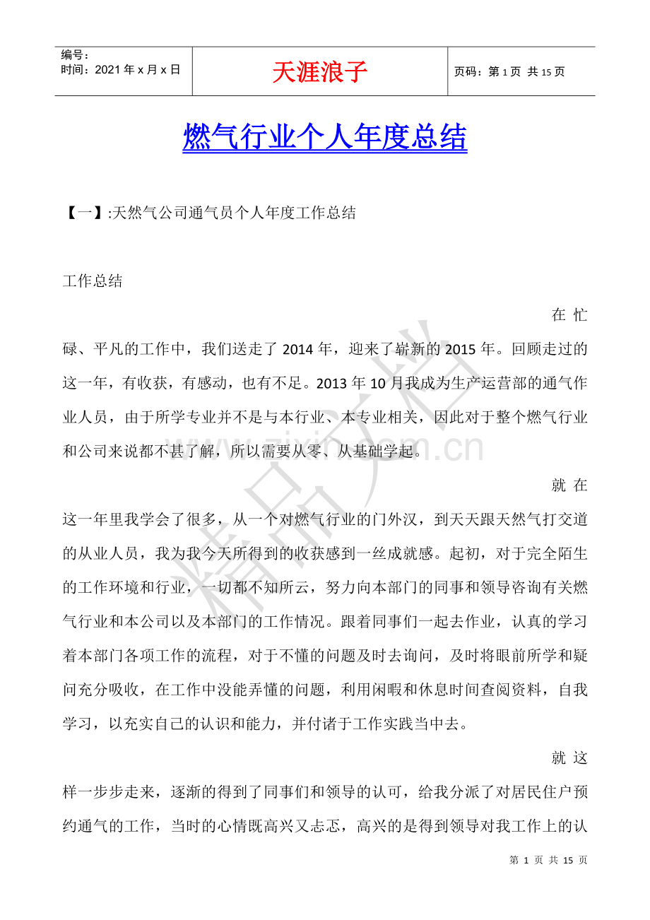 燃气行业个人年度总结.docx_第1页