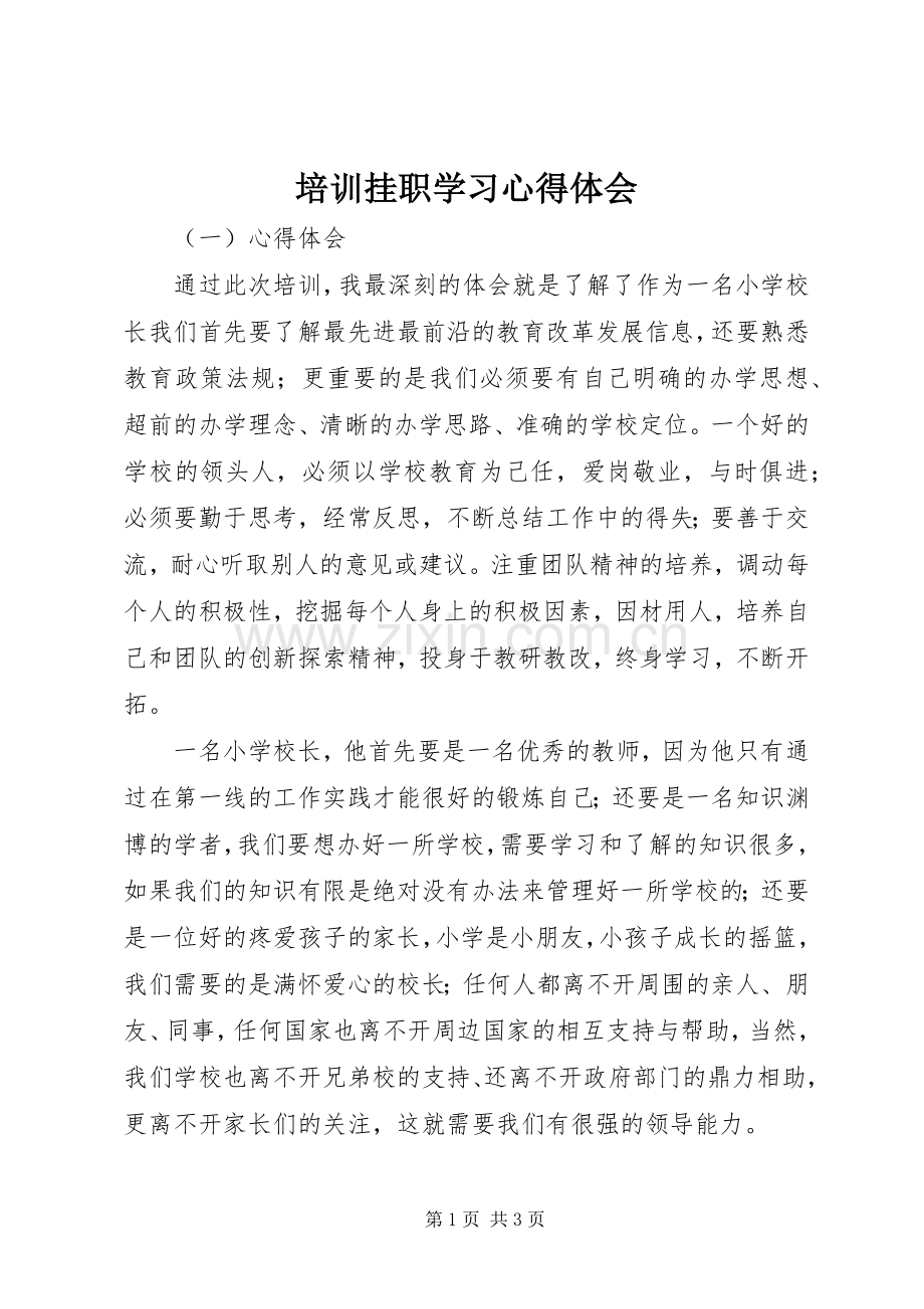 培训挂职学习心得体会.docx_第1页