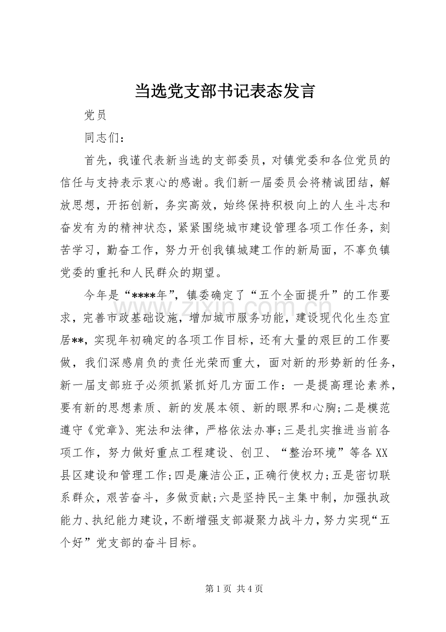 当选党支部书记表态发言.docx_第1页