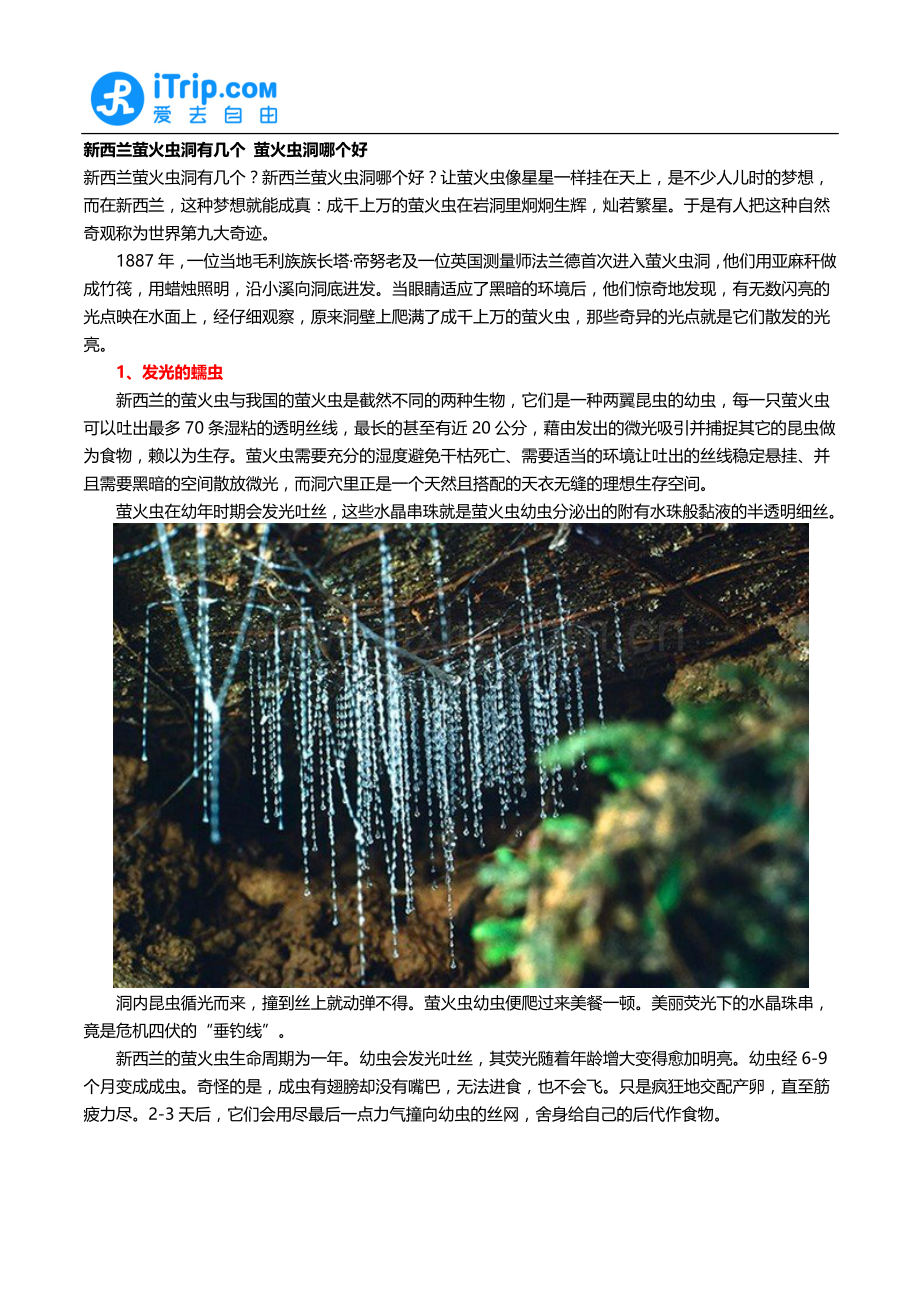 新西兰萤火虫洞有几个 萤火虫洞哪个好.docx_第1页