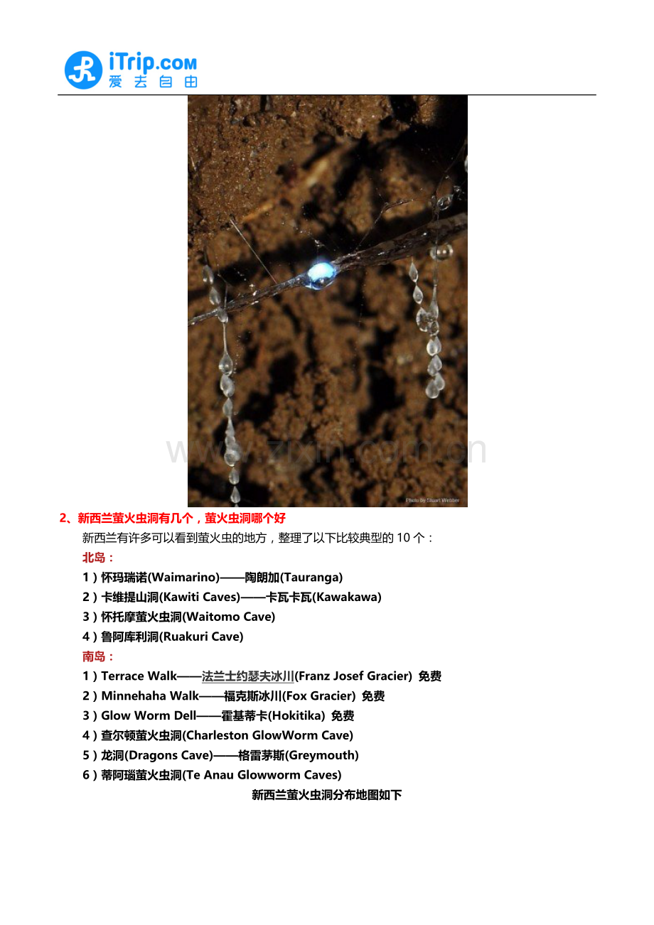 新西兰萤火虫洞有几个 萤火虫洞哪个好.docx_第2页