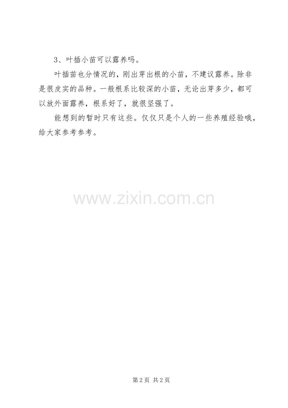 关于露养多肉的心得.docx_第2页