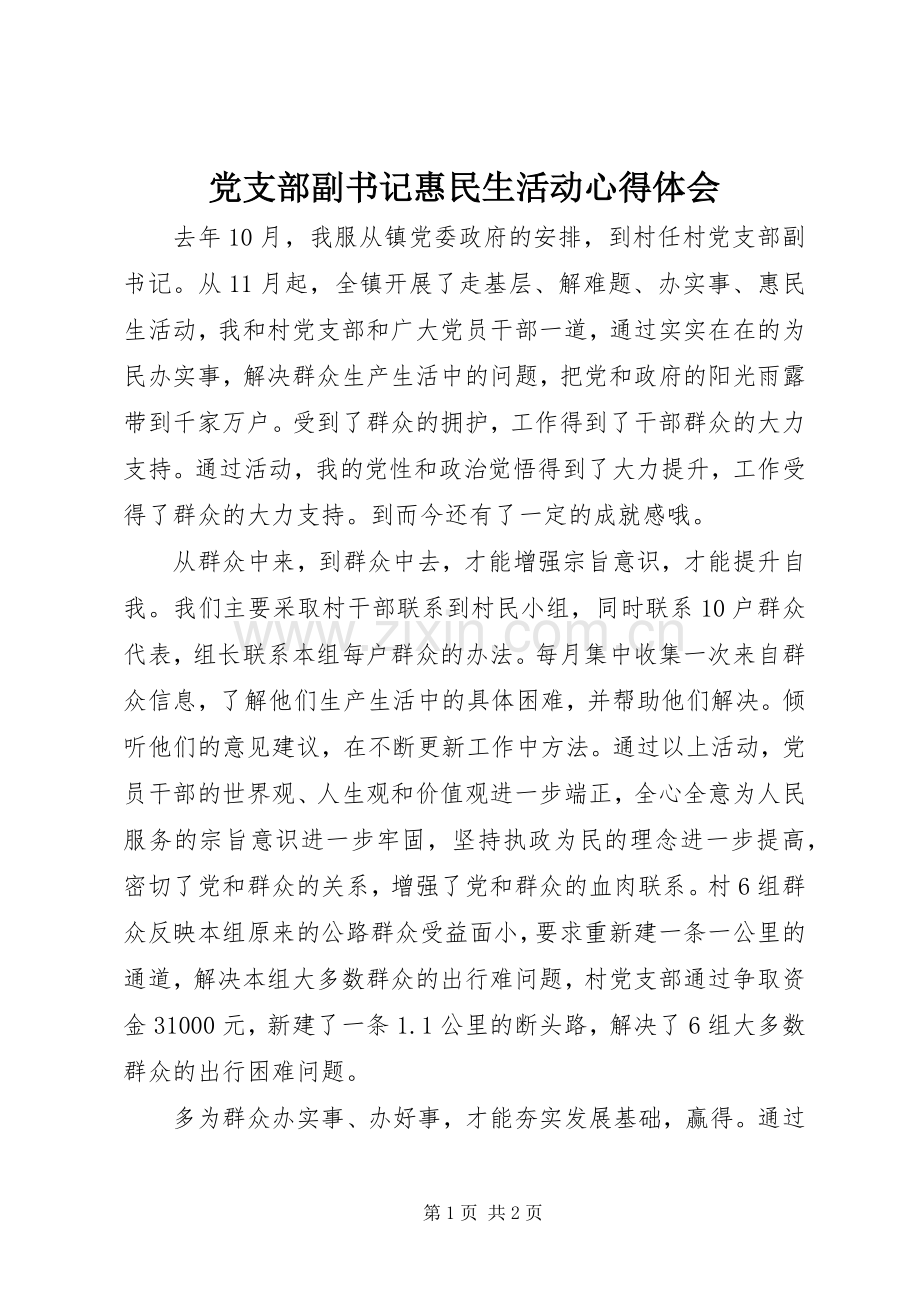 党支部副书记惠民生活动心得体会.docx_第1页