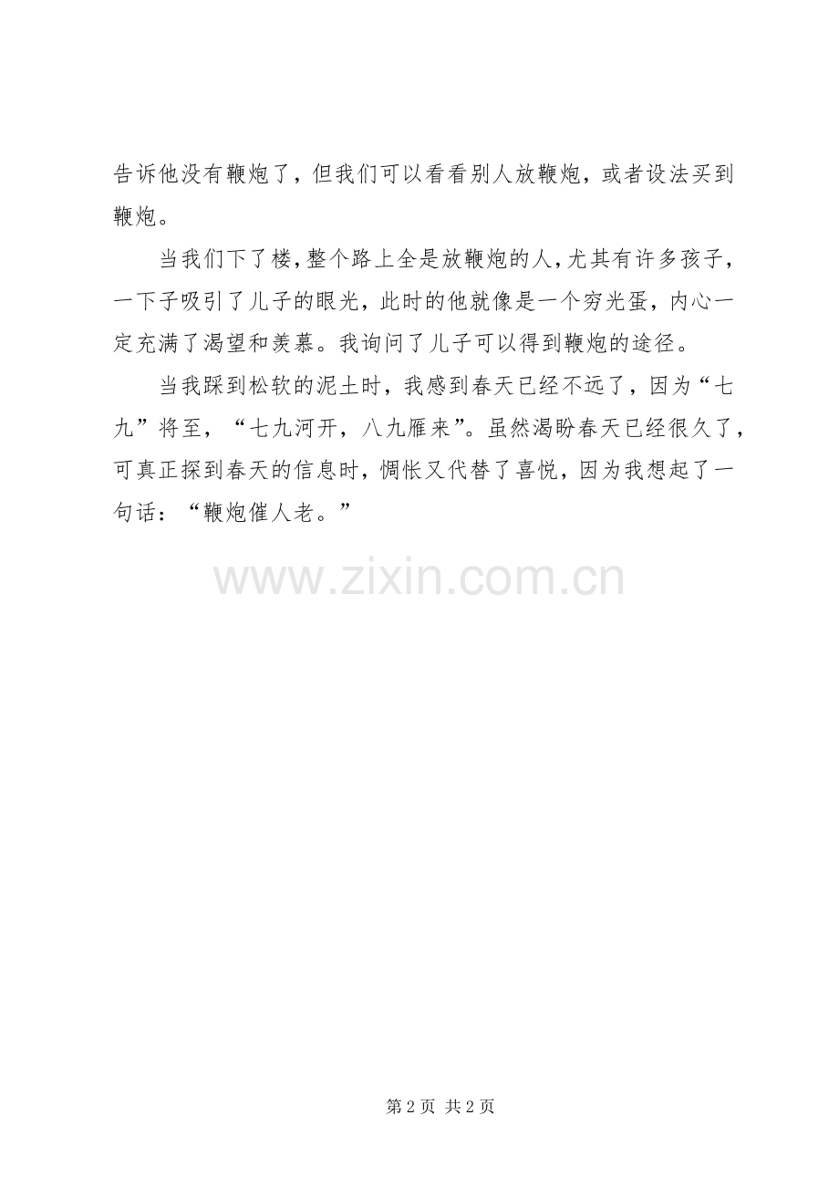 春节放鞭炮心得体会的范文.docx_第2页