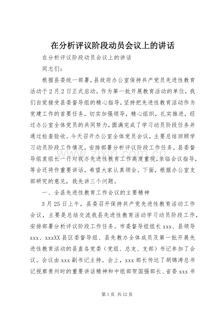 在分析评议阶段动员会议上的讲话.docx_第1页