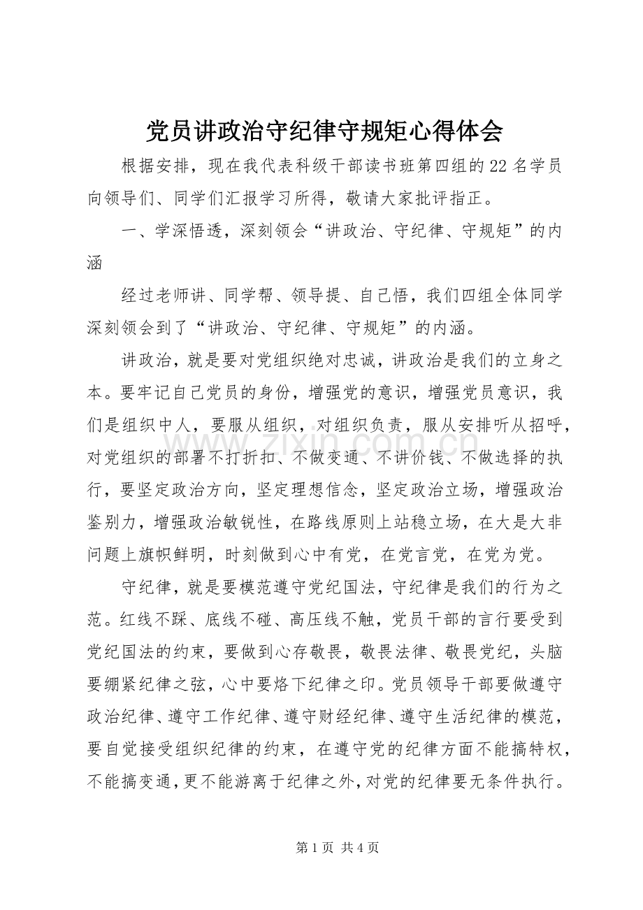 党员讲政治守纪律守规矩心得体会.docx_第1页