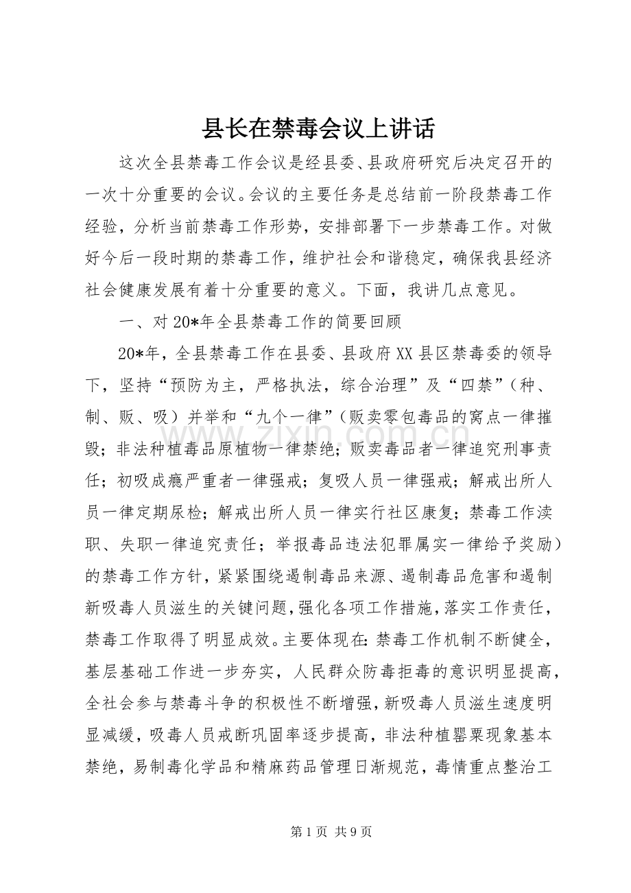 县长在禁毒会议上讲话.docx_第1页
