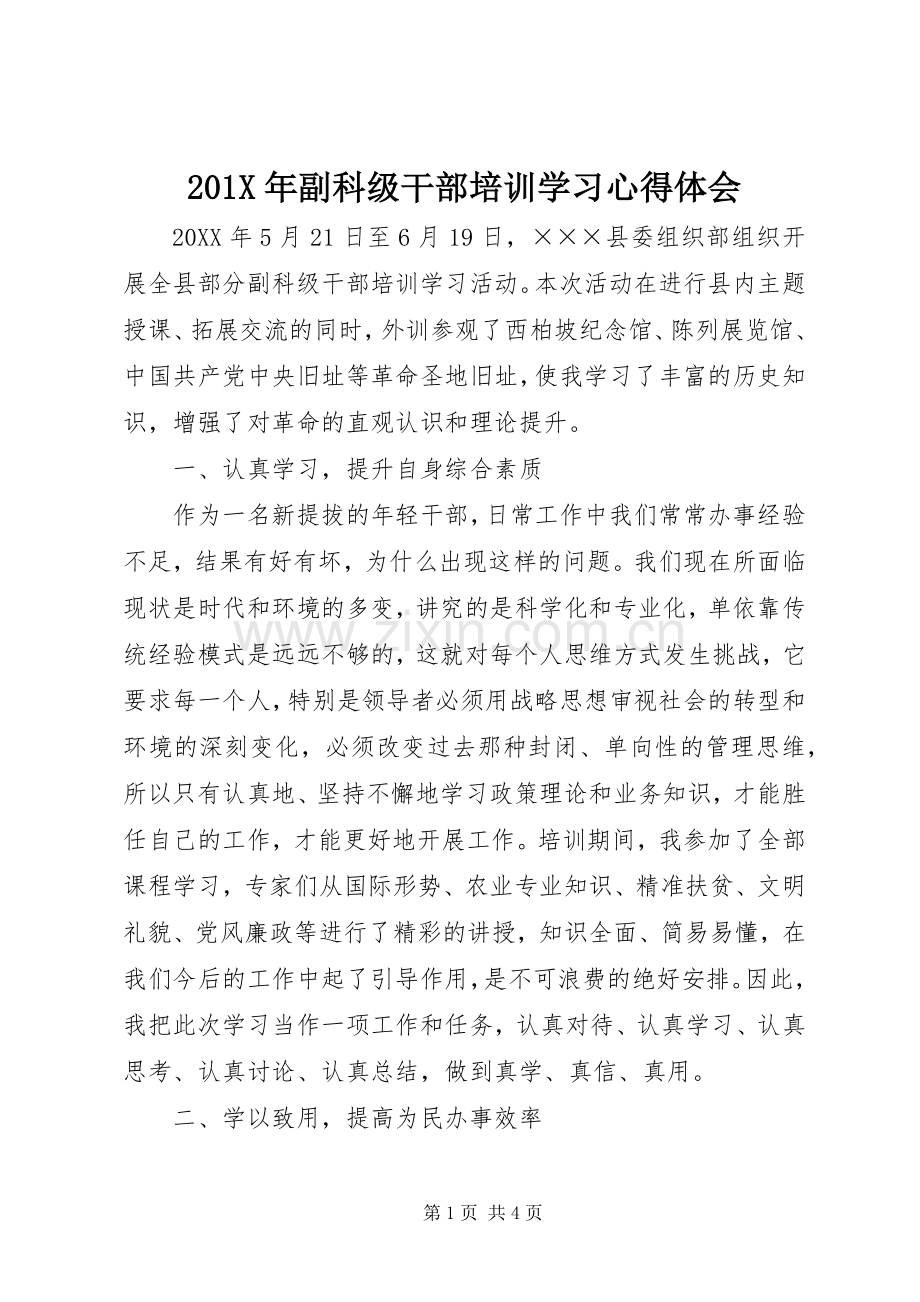 201X年副科级干部培训学习心得体会.docx_第1页