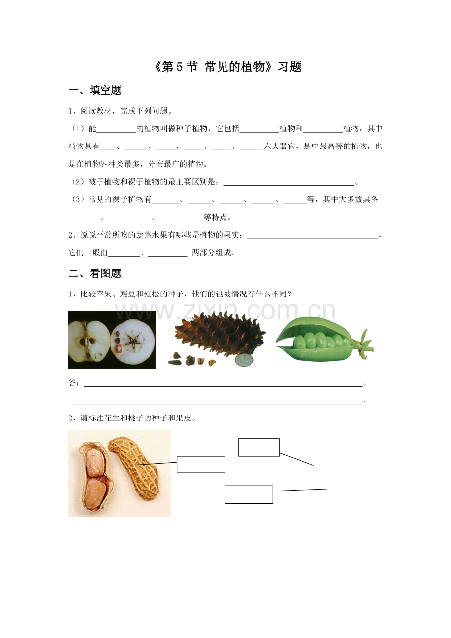 《第5节-常见的植物》习题1.doc_第1页
