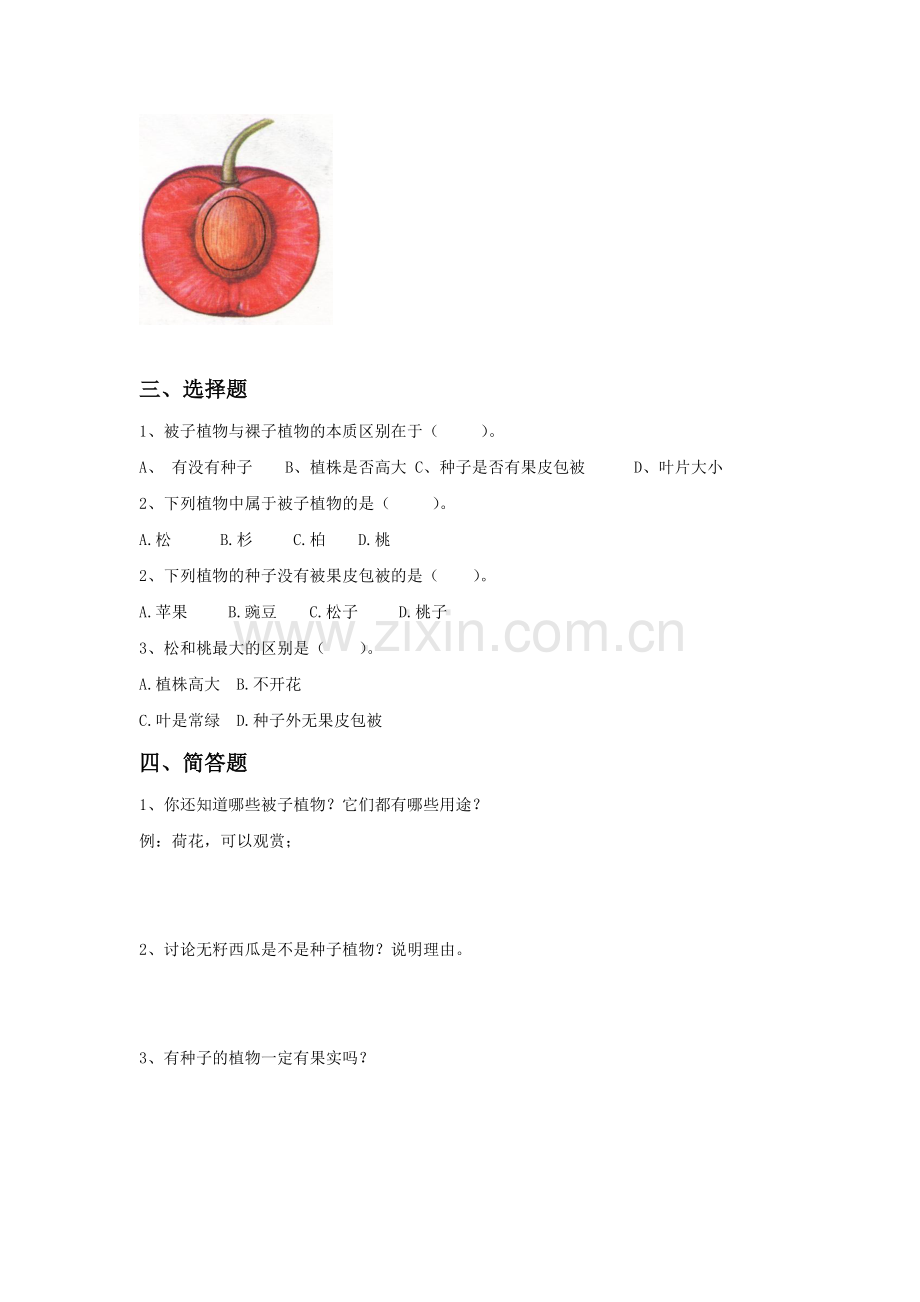 《第5节-常见的植物》习题1.doc_第2页