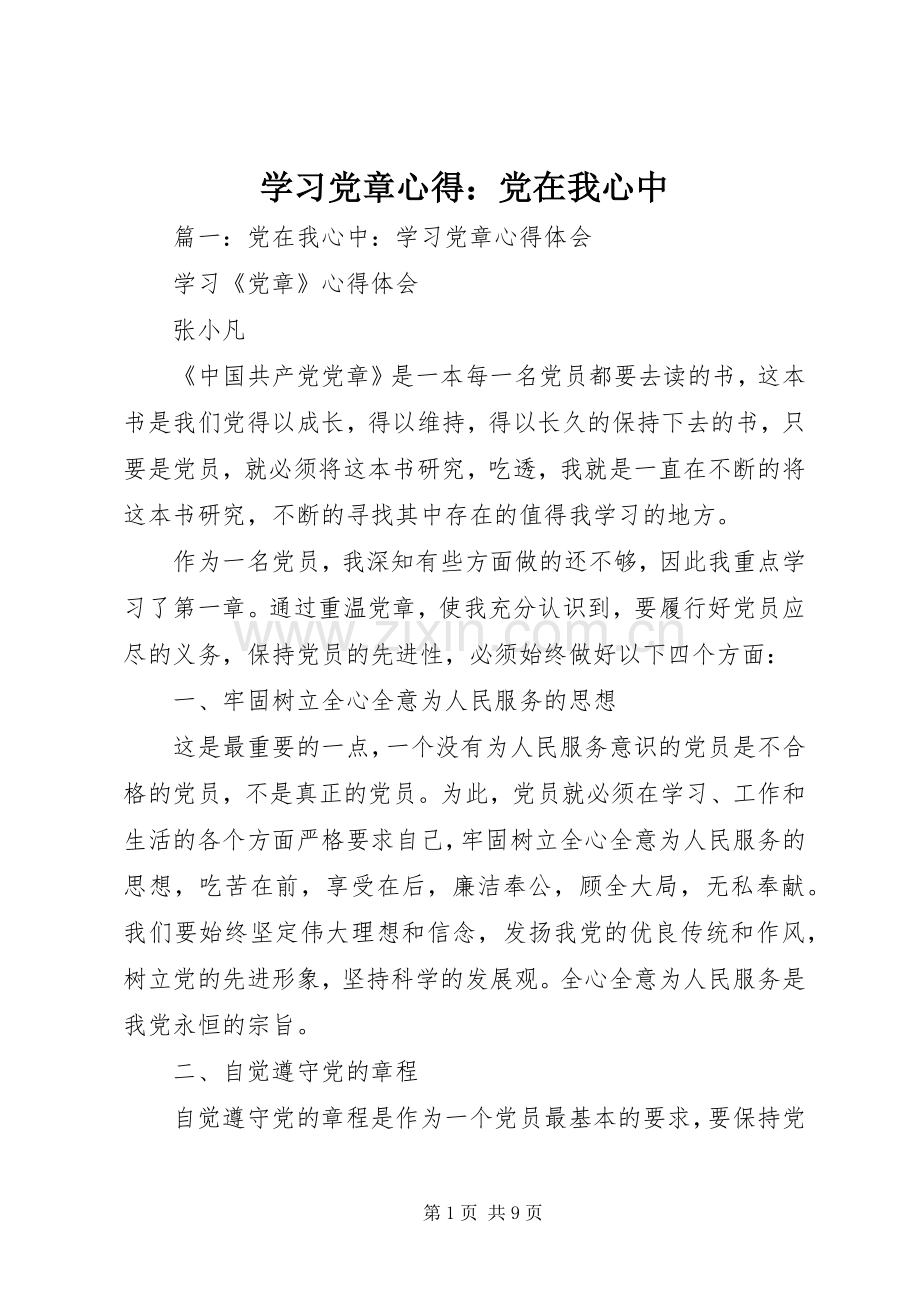 学习党章心得：党在我心中.docx_第1页