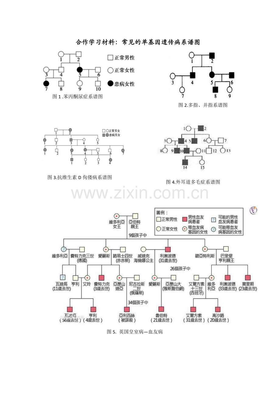 第六节人类遗传病.docx_第2页