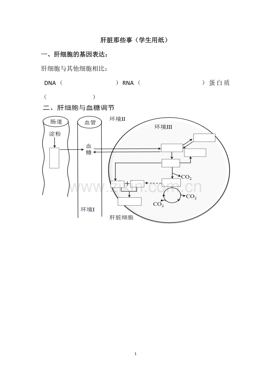 血脂代谢的调节.docx_第1页