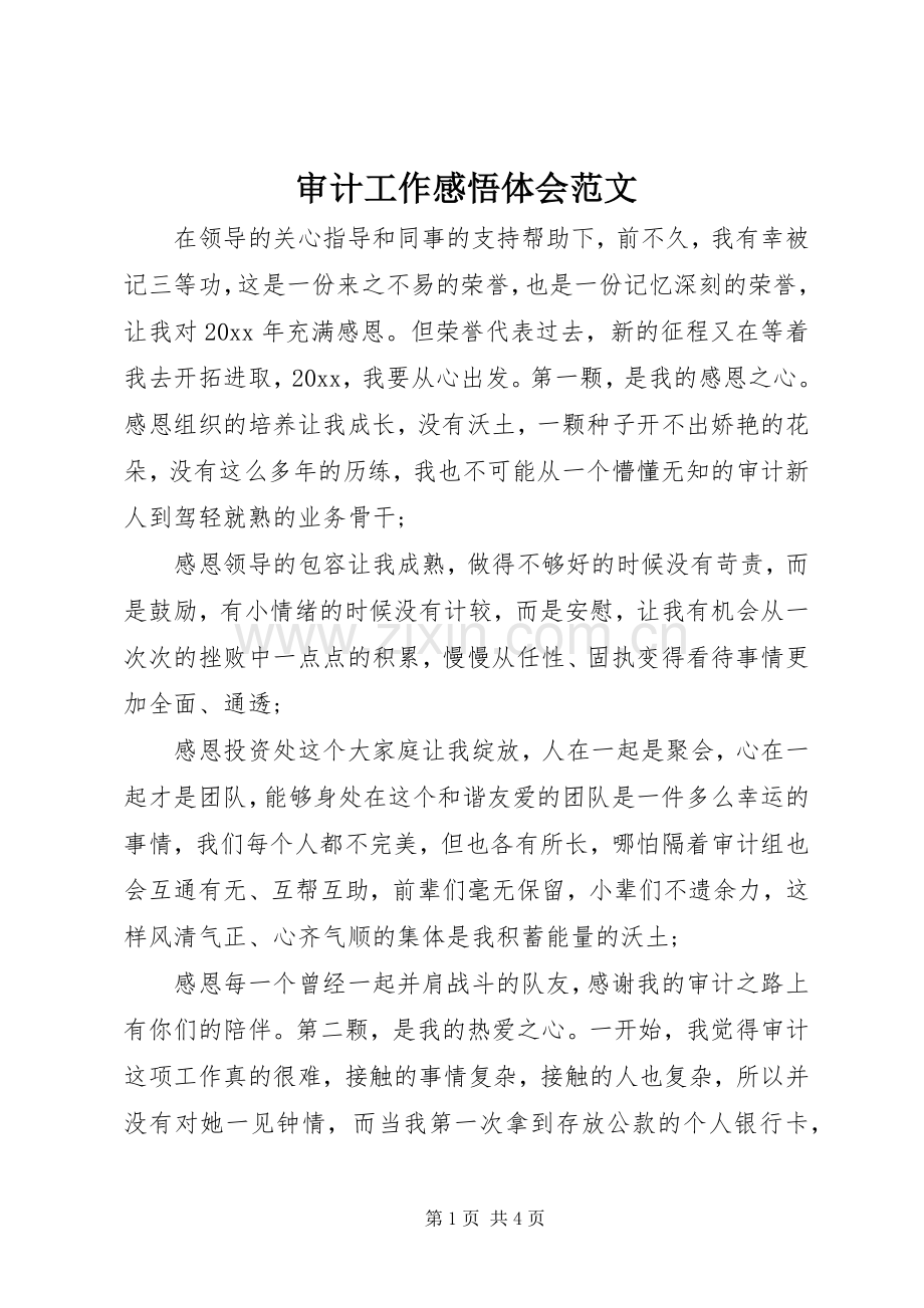 审计工作感悟体会范文.docx_第1页