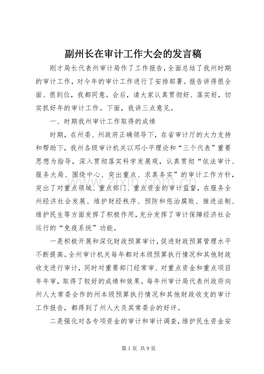 副州长在审计工作大会的发言稿.docx_第1页