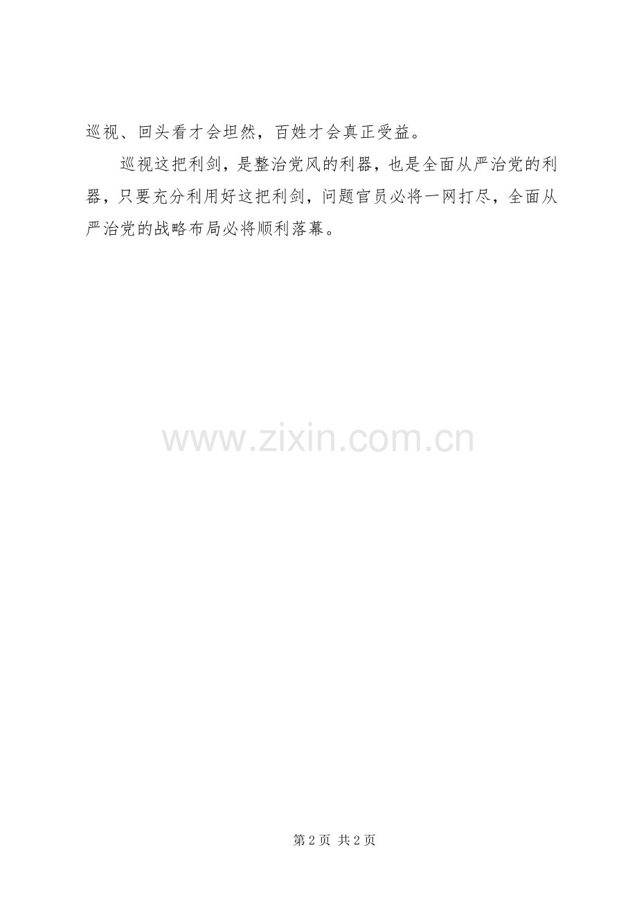 《巡视利剑》心得体会：高举巡视利剑践行从严治党.docx_第2页