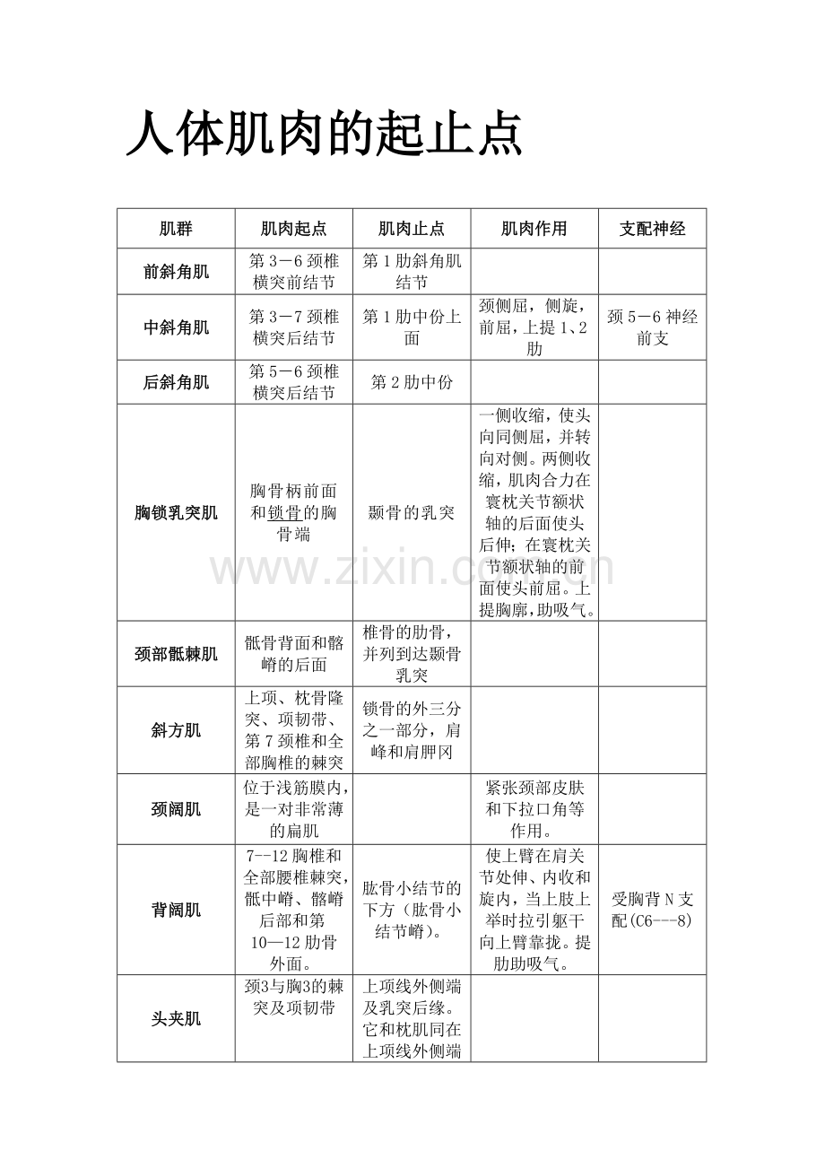 人体肌肉的起止点.doc_第1页