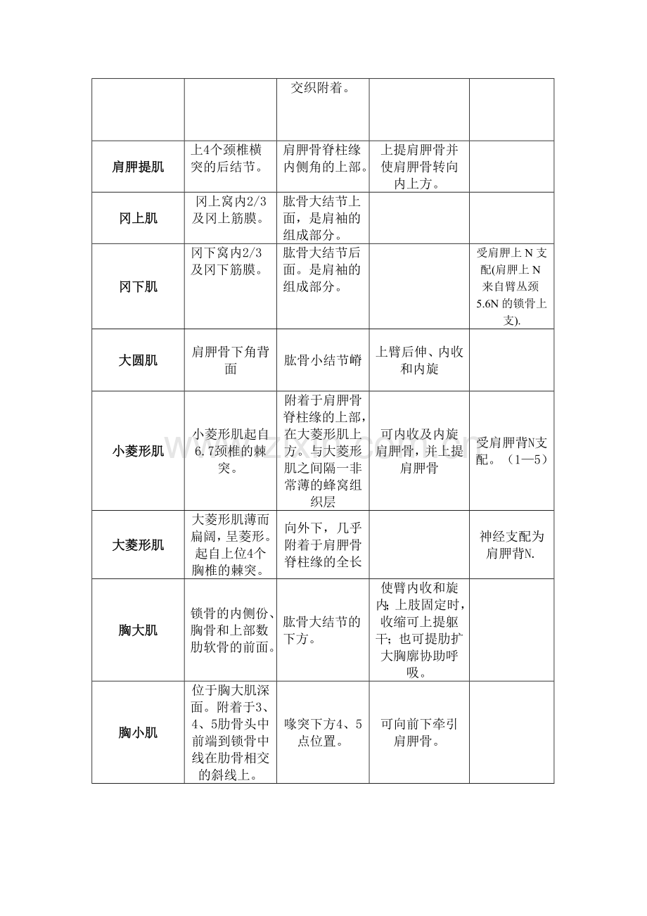 人体肌肉的起止点.doc_第2页