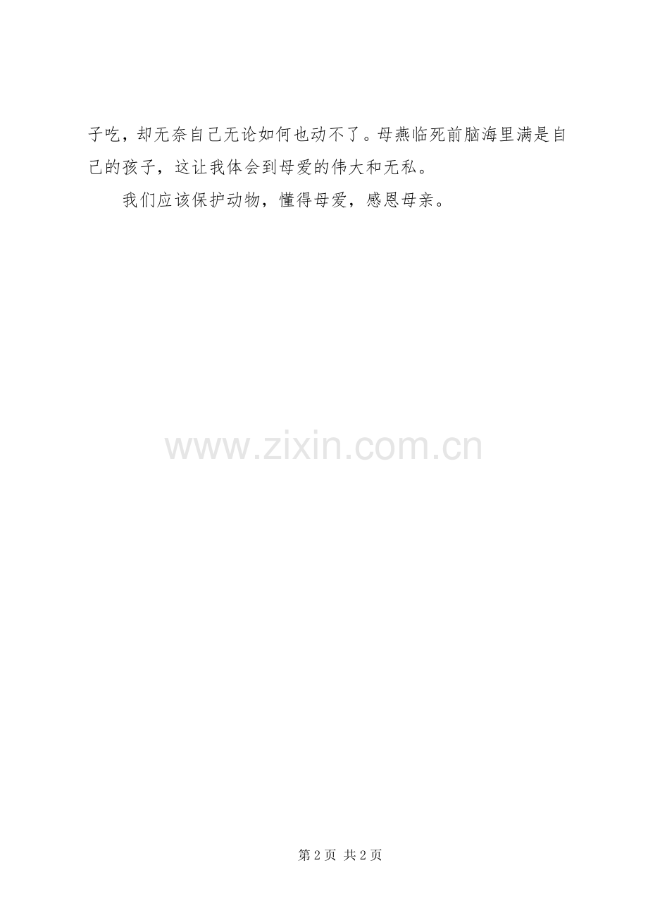 《苍天之下》读后感.docx_第2页