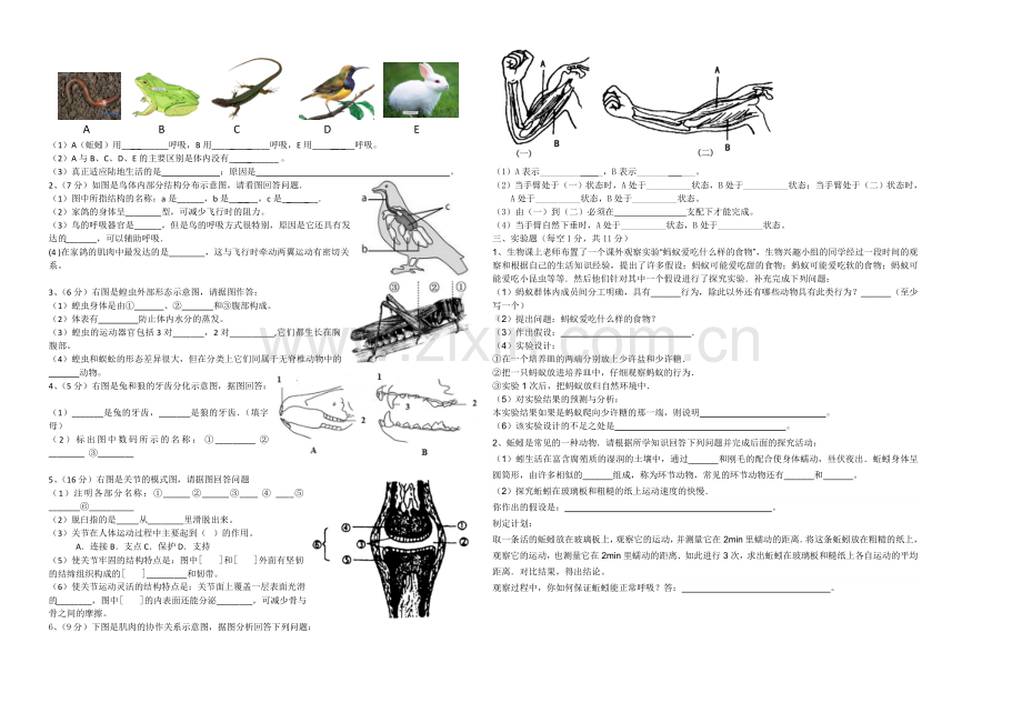 八年级上第1——3章测试题.doc_第2页