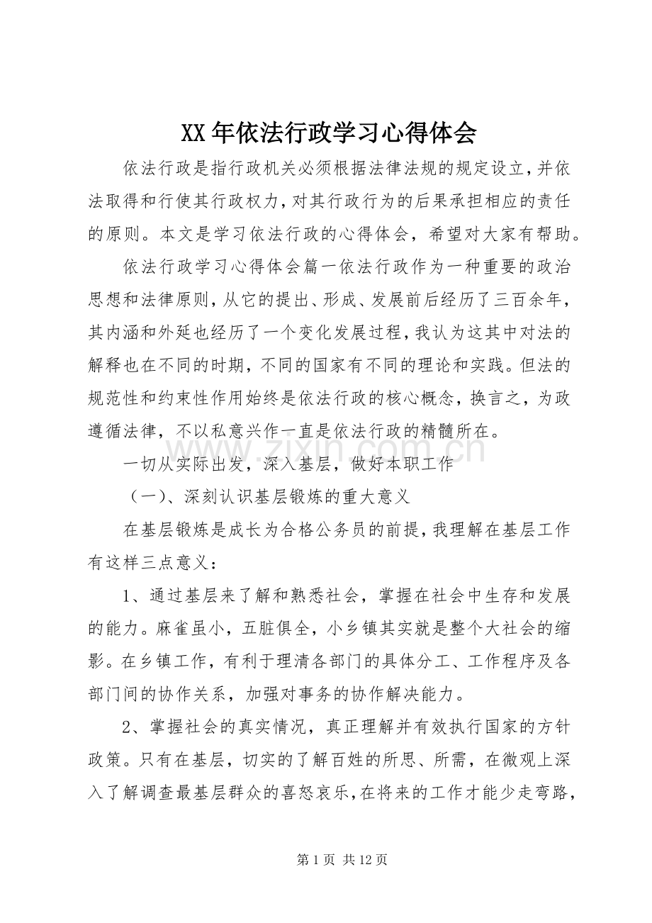 XX年依法行政学习心得体会.docx_第1页