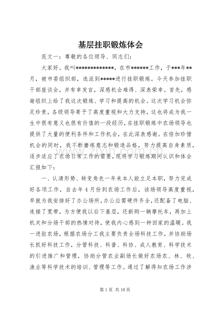 基层挂职锻炼体会.docx_第1页