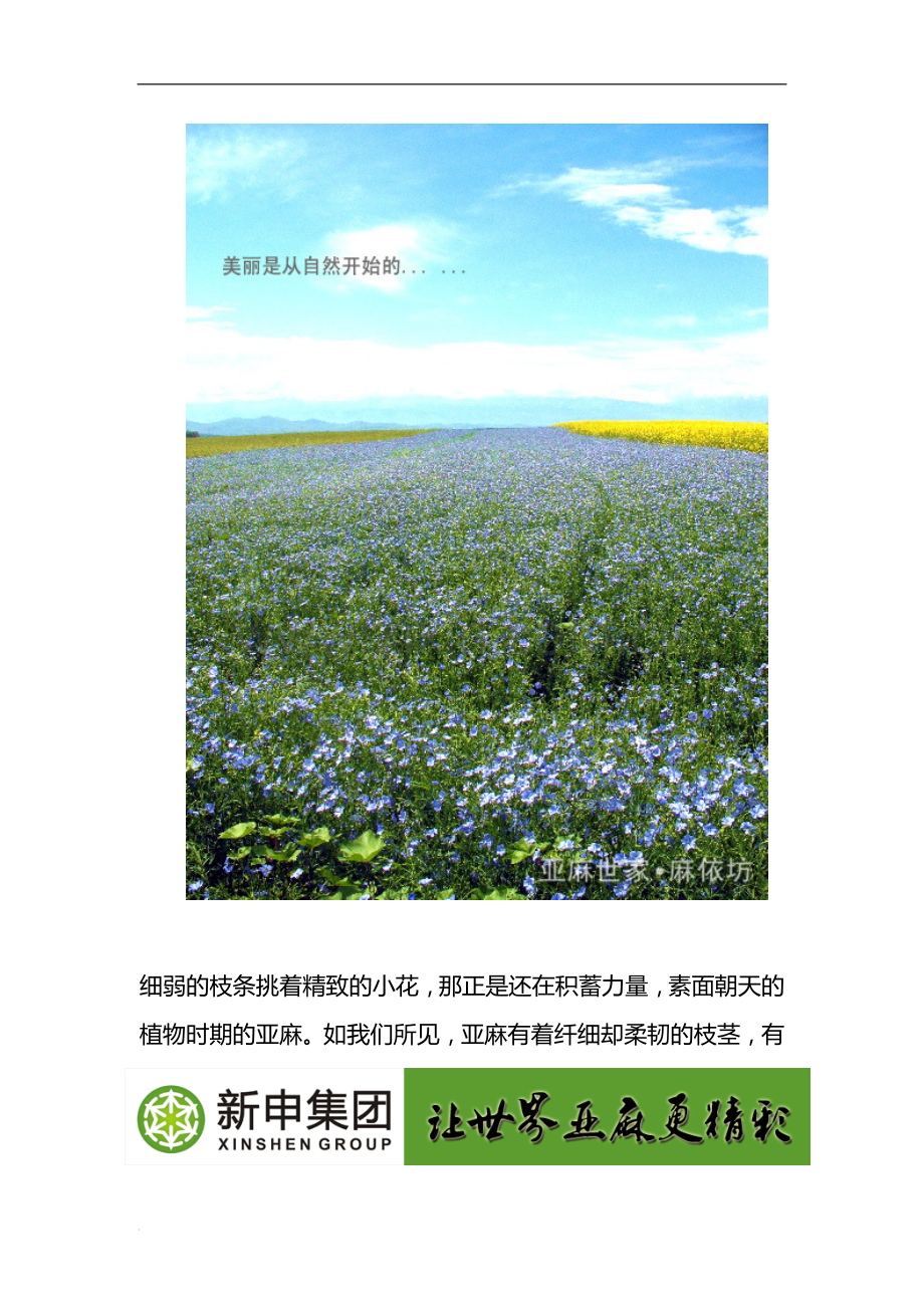 释放亚麻之美.doc_第2页