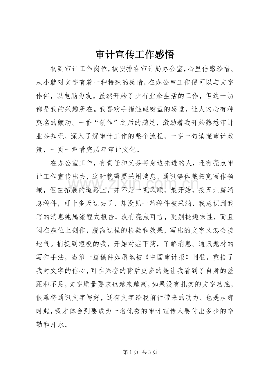 审计宣传工作感悟.docx_第1页
