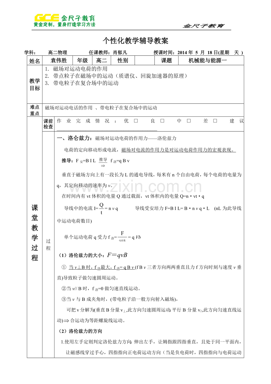 磁场中的偏转().docx_第1页