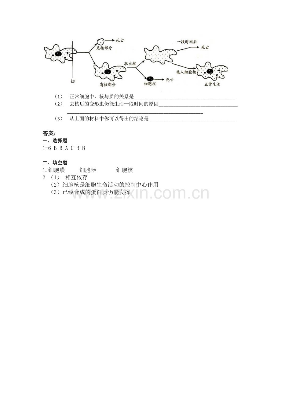 第四节细胞核.doc_第2页