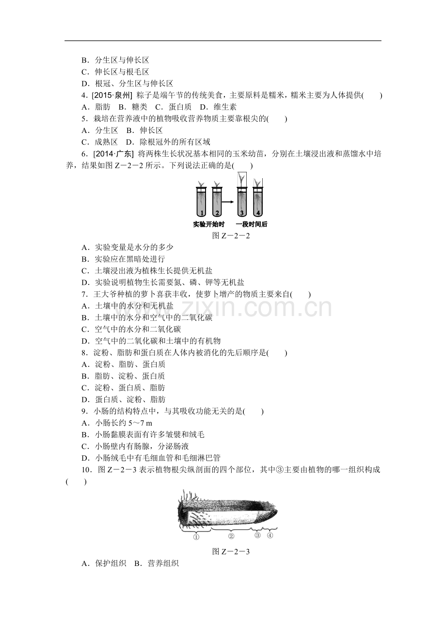 专题突破(二)生物从环境中获取营养.doc_第2页