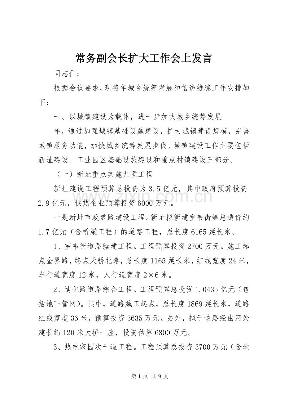 常务副会长扩大工作会上发言.docx_第1页