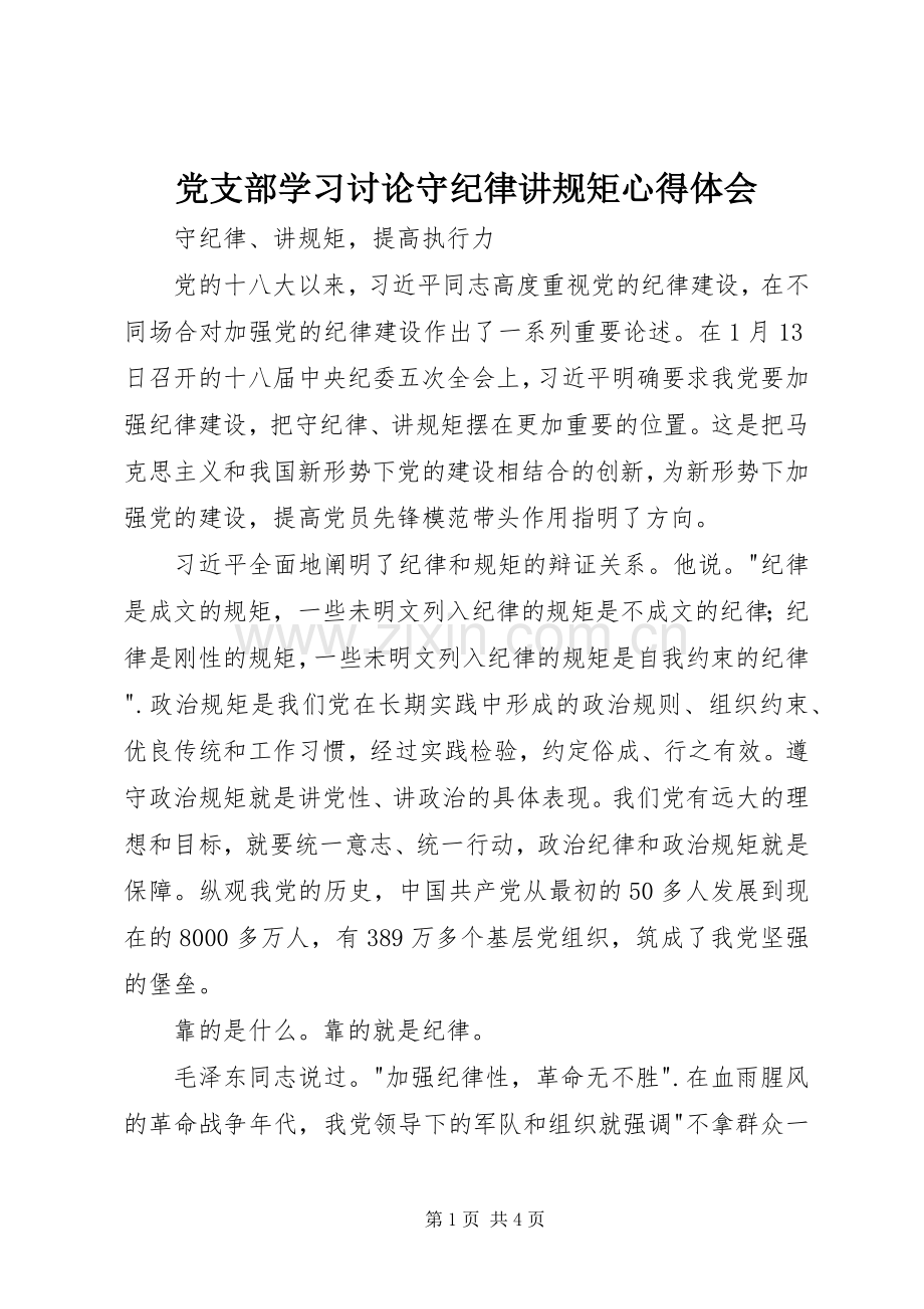 党支部学习讨论守纪律讲规矩心得体会.docx_第1页