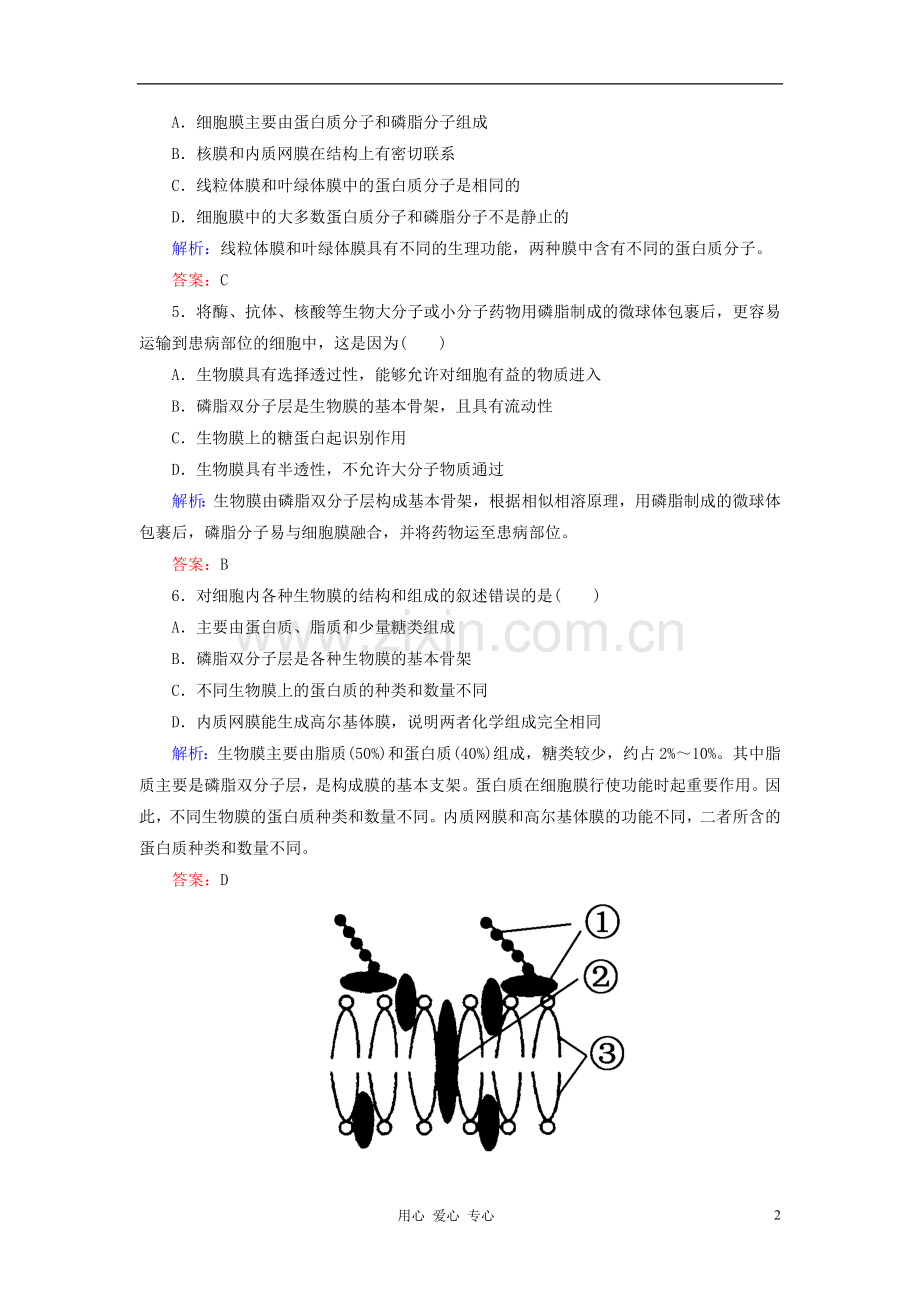 【讲与练】高中生物-课时作业12-生物膜的流动镶嵌模型-新人教版必修1.doc_第2页