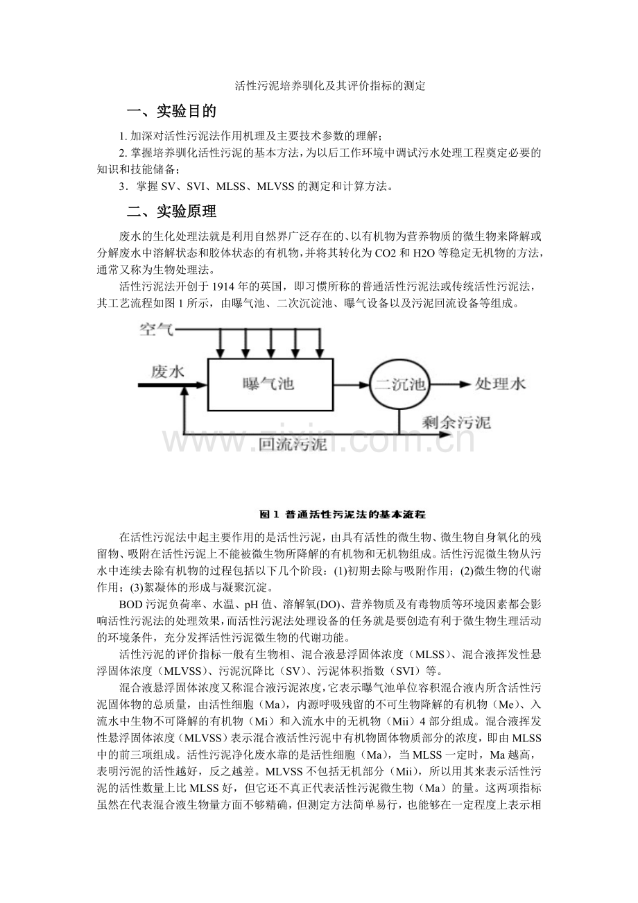 活性污泥培养.doc_第1页