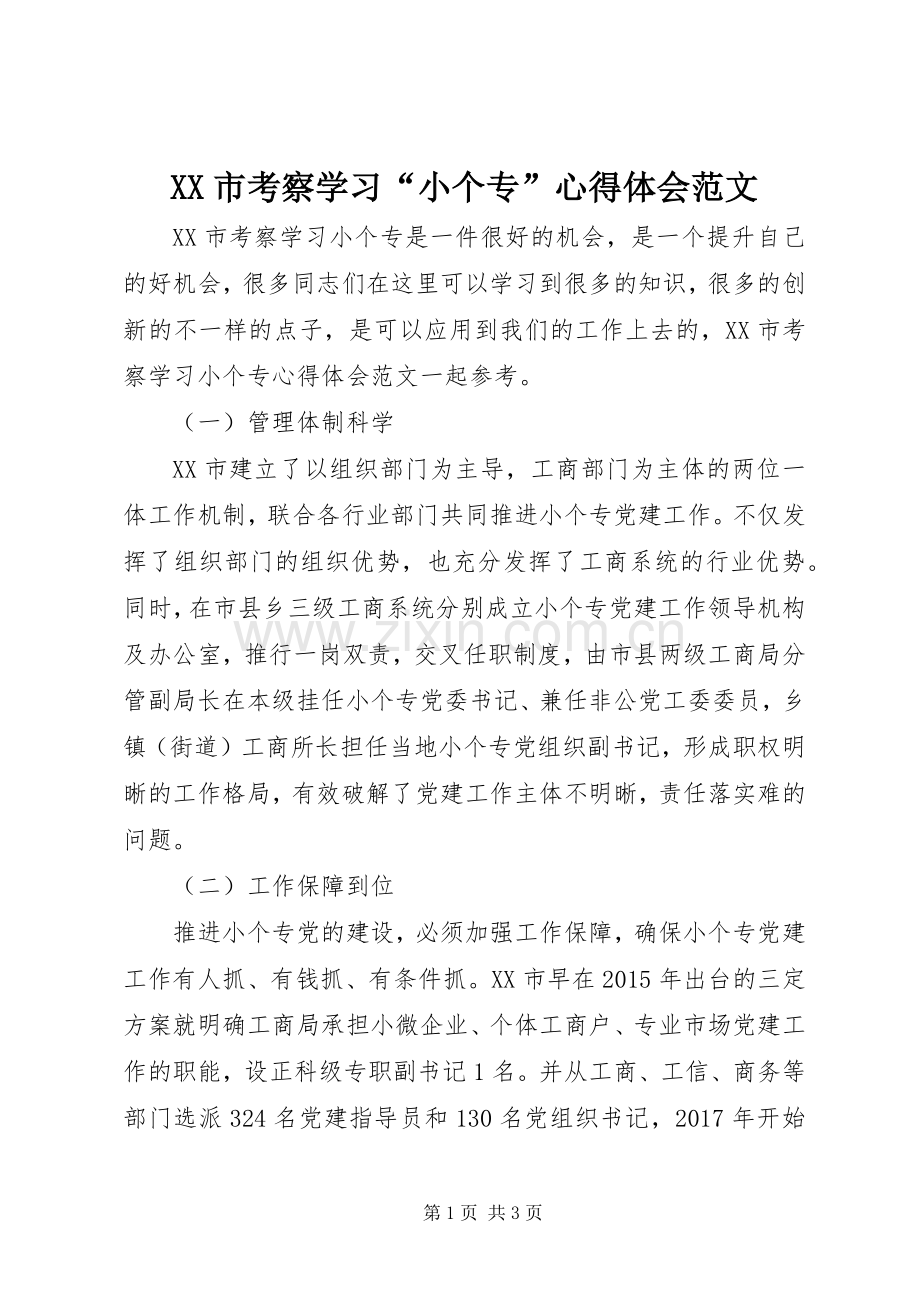 XX市考察学习“小个专”心得体会范文.docx_第1页