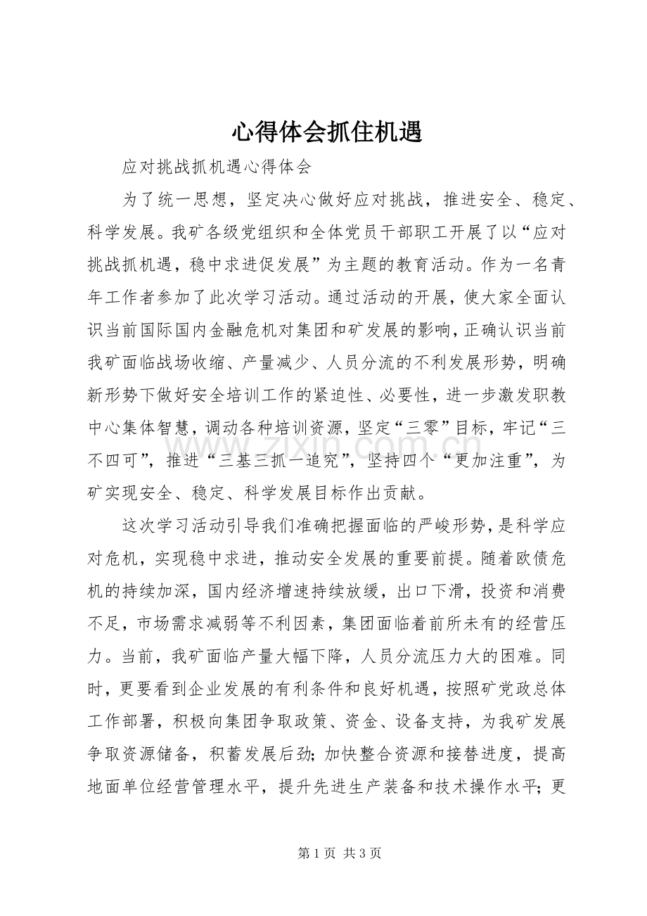 心得体会抓住机遇.docx_第1页