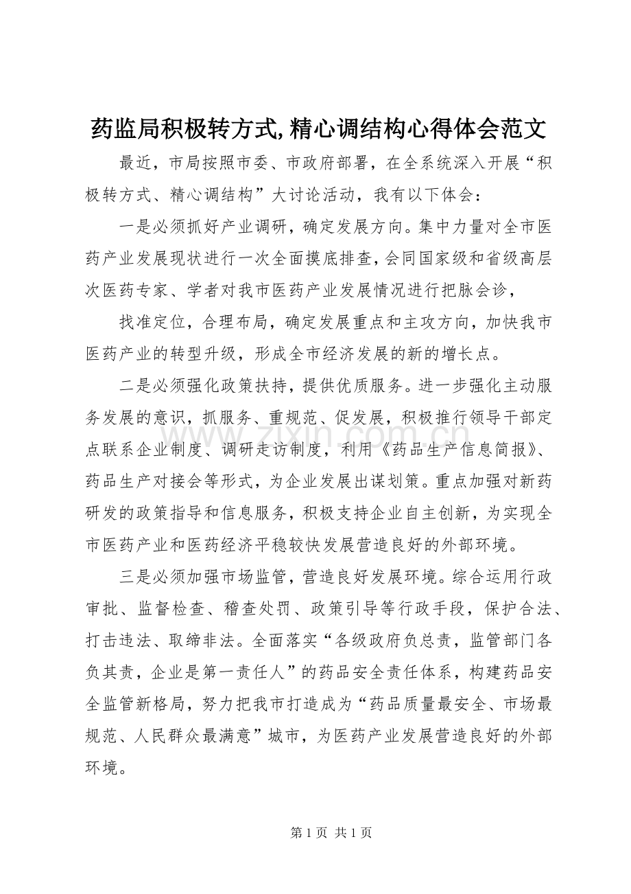药监局积极转方式,精心调结构心得体会范文.docx_第1页