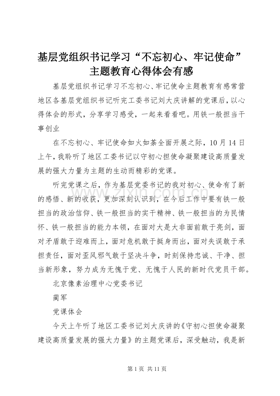 基层党组织书记学习“不忘初心、牢记使命”主题教育心得体会有感.docx_第1页