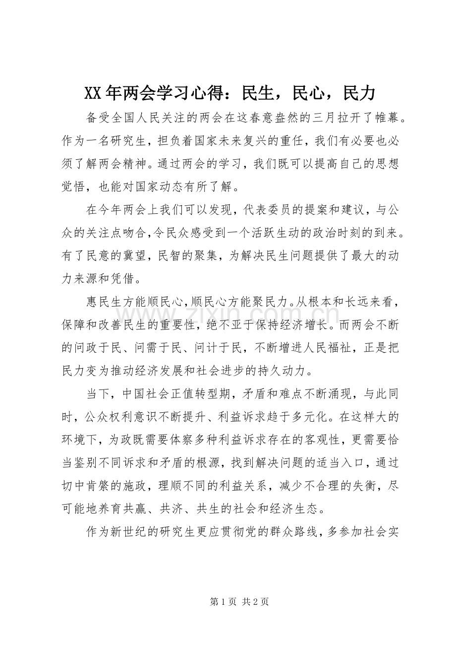 XX年两会学习心得：民生民心民力.docx_第1页